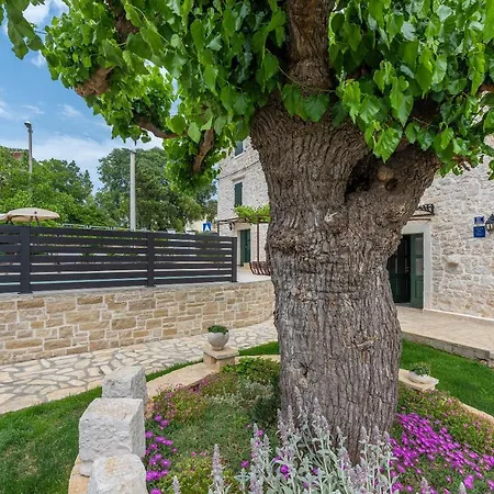 Andijelina Villa *